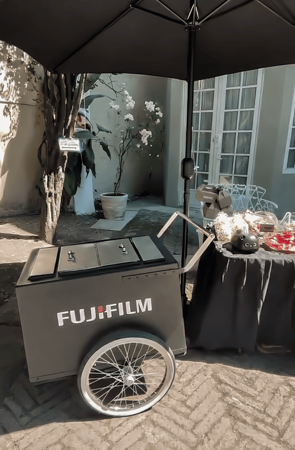 fujifilm carrito